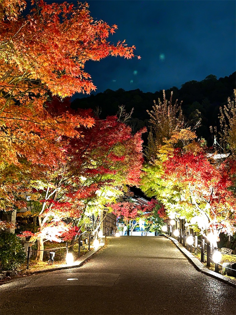 f:id:Yukonosuke:20241204164026j:image