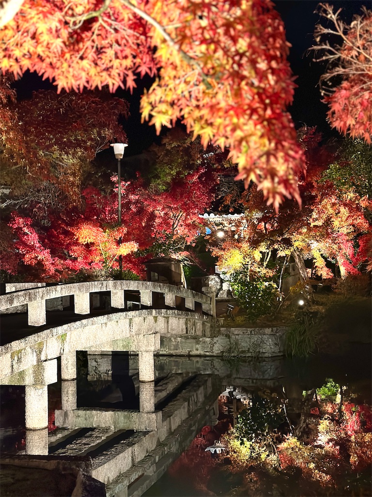 f:id:Yukonosuke:20241204164036j:image