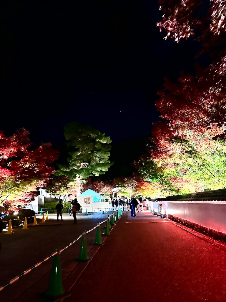 f:id:Yukonosuke:20241204165436j:image