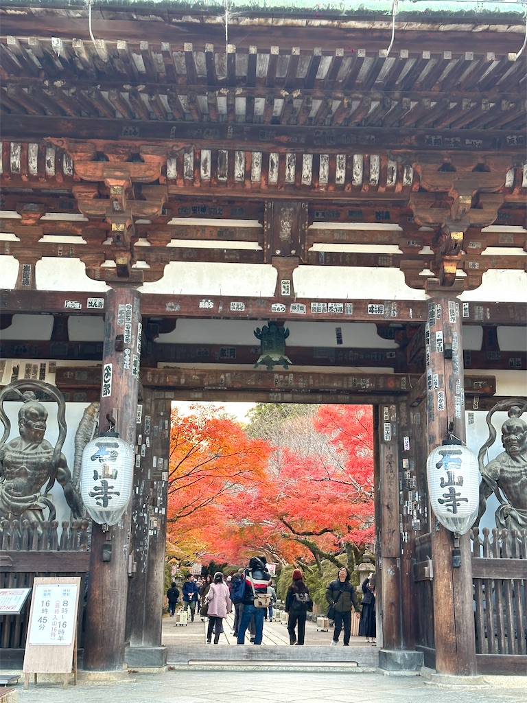 f:id:Yukonosuke:20241213204506j:image