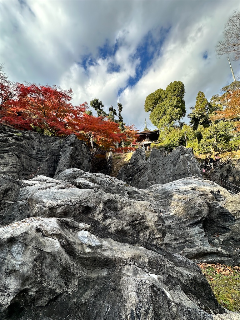 f:id:Yukonosuke:20241213205349j:image
