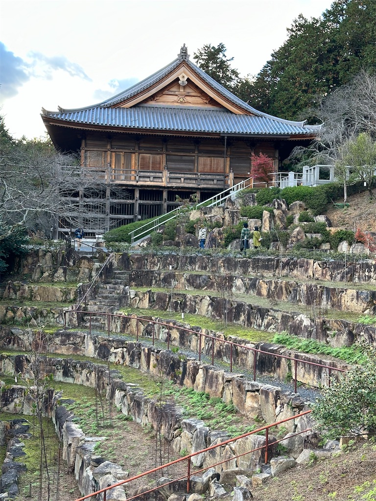 f:id:Yukonosuke:20241213205359j:image