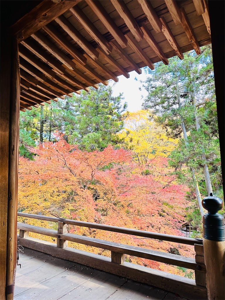 f:id:Yukonosuke:20241213205402j:image