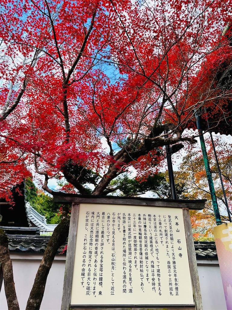 f:id:Yukonosuke:20241213205419j:image