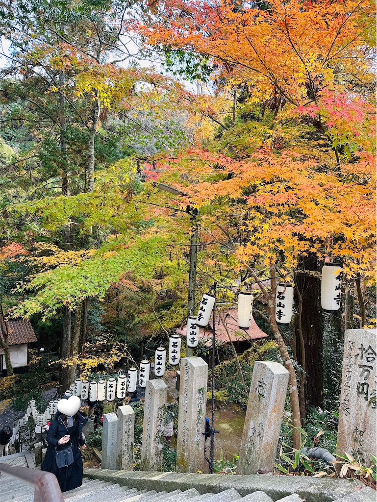 f:id:Yukonosuke:20241217140205j:image