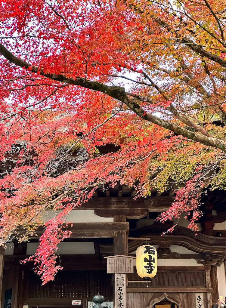 f:id:Yukonosuke:20241217142747j:image