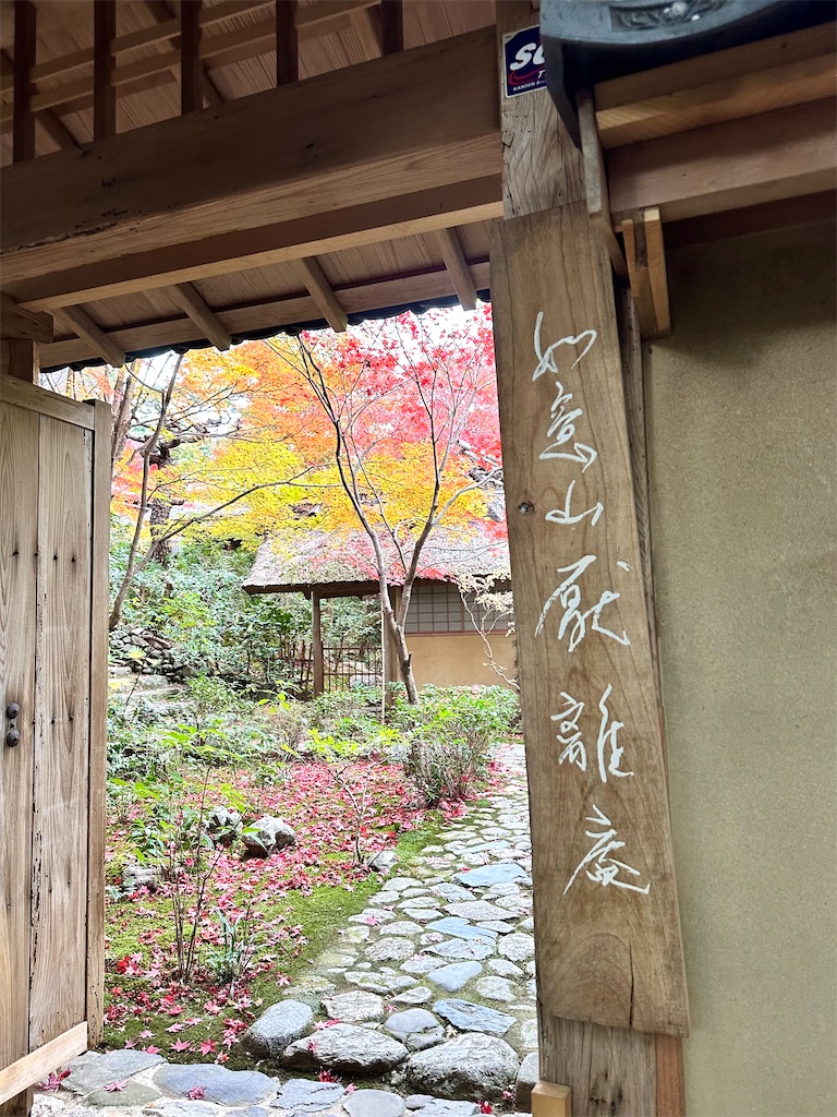 f:id:Yukonosuke:20241219144000j:image