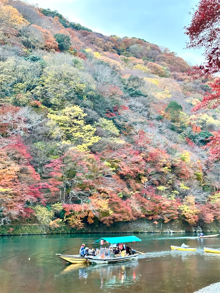 f:id:Yukonosuke:20241219160515j:image