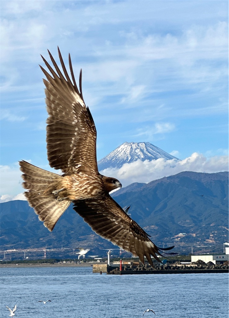 f:id:Yukonosuke:20250107142147j:image