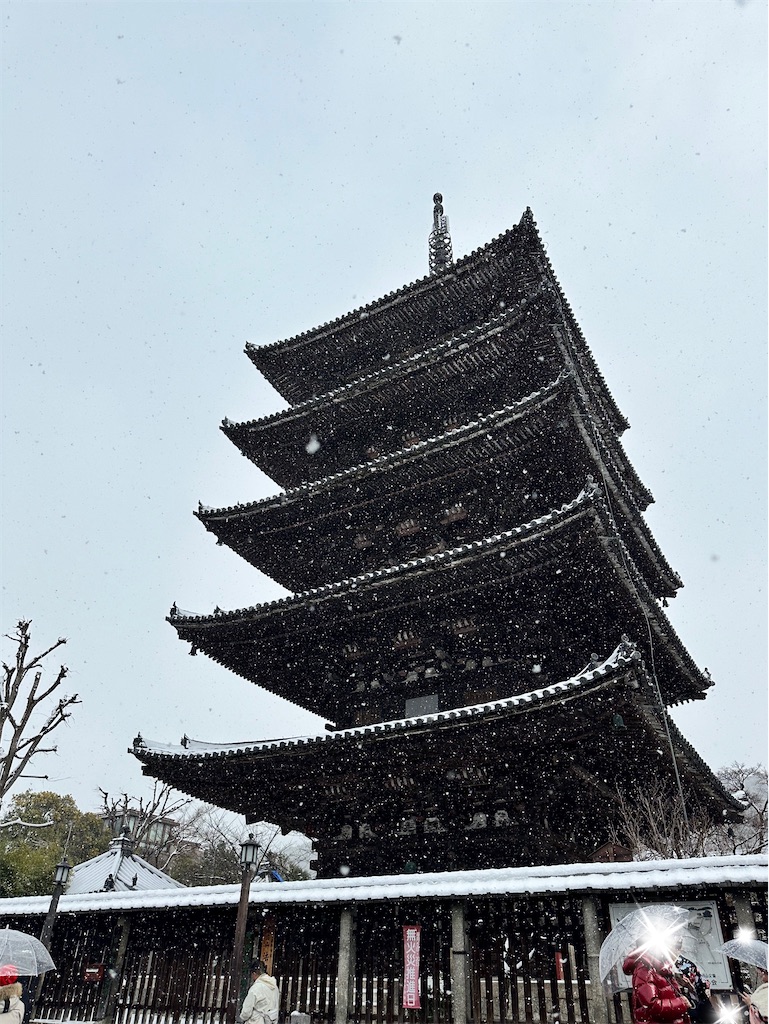f:id:Yukonosuke:20250208223439j:image