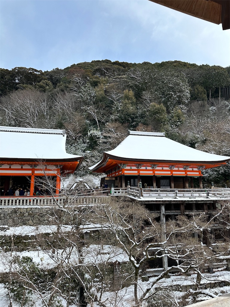 f:id:Yukonosuke:20250208225821j:image