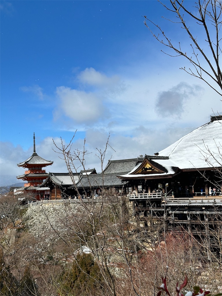f:id:Yukonosuke:20250208231525j:image