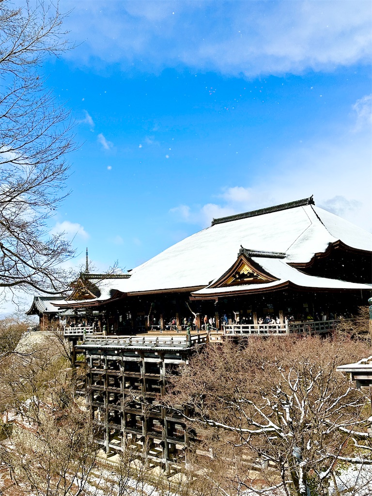 f:id:Yukonosuke:20250208231528j:image