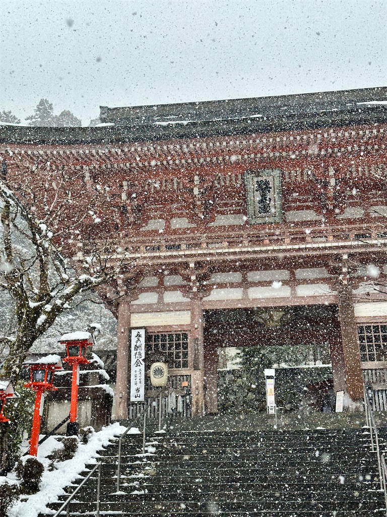 f:id:Yukonosuke:20250225114838j:image