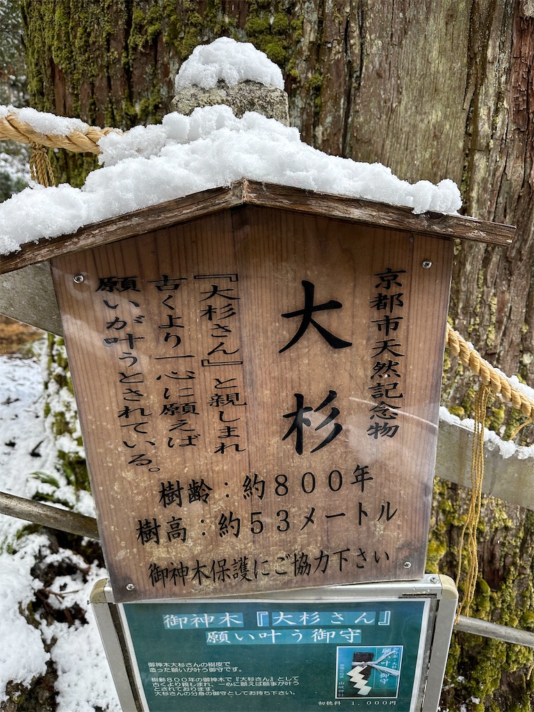 f:id:Yukonosuke:20250225115652j:image