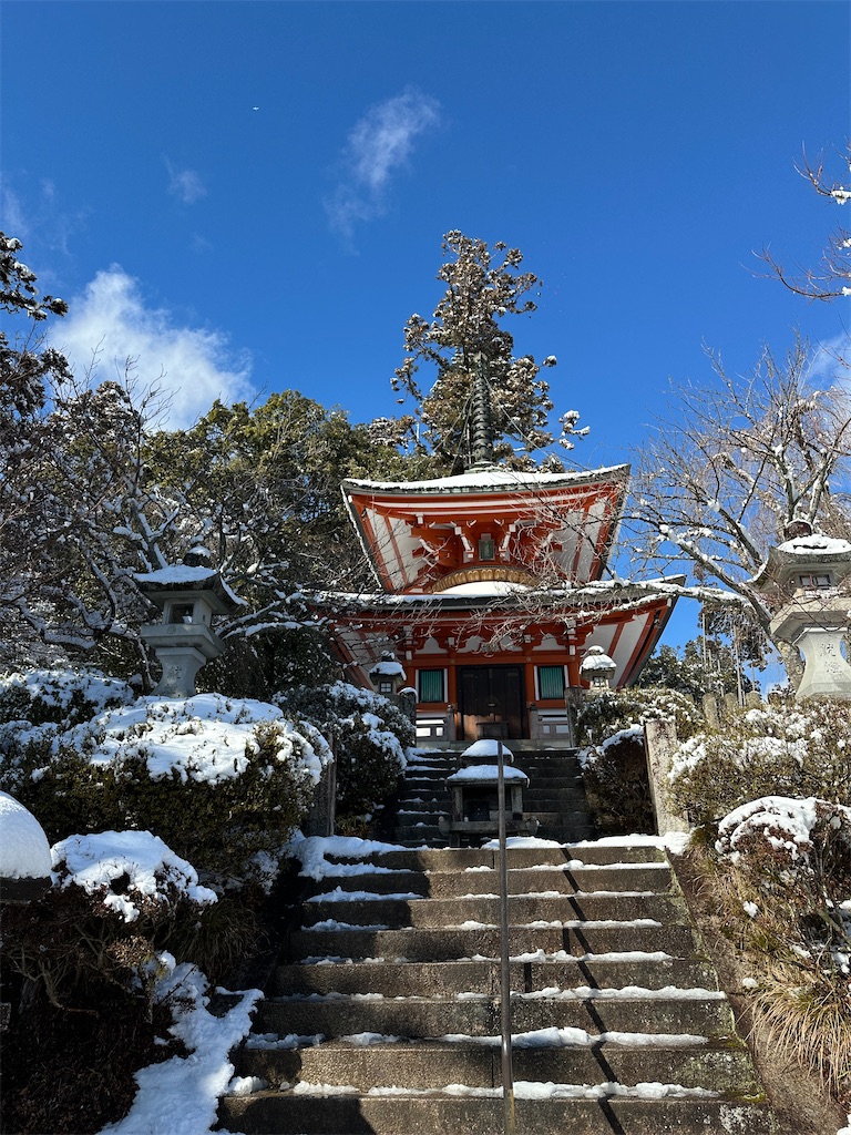 f:id:Yukonosuke:20250225115705j:image