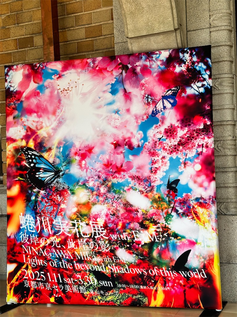 f:id:Yukonosuke:20250307120631j:image