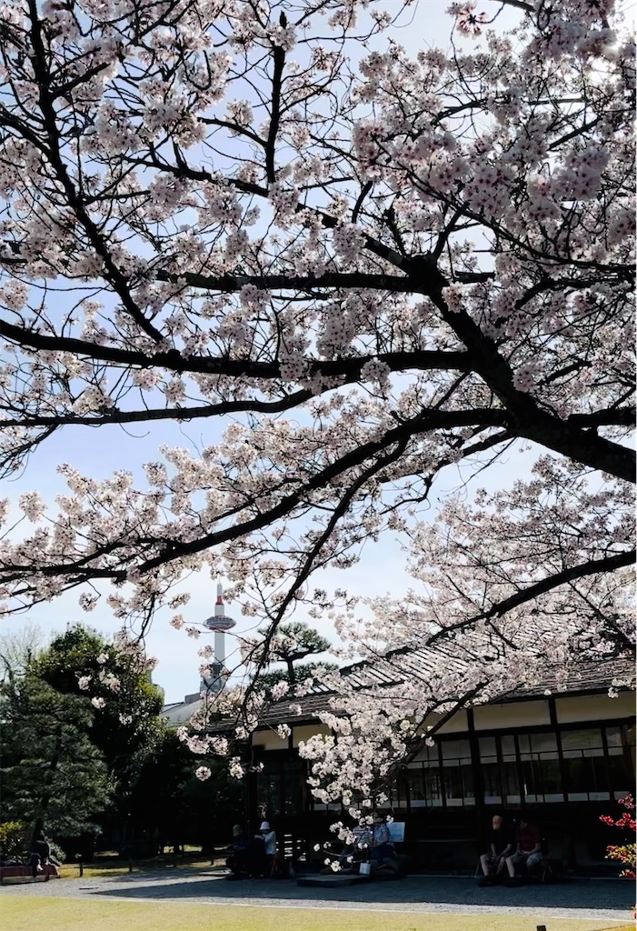 f:id:Yukonosuke:20250416182053j:image