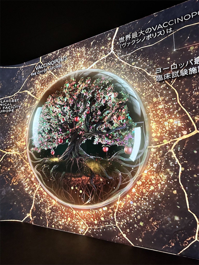 f:id:Yukonosuke:20250430141341j:image