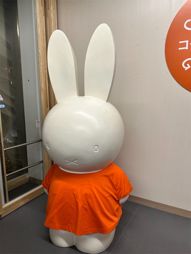 f:id:Yukonosuke:20250522010019j:image