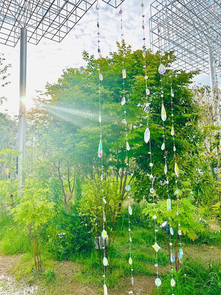 f:id:Yukonosuke:20250613004719j:image