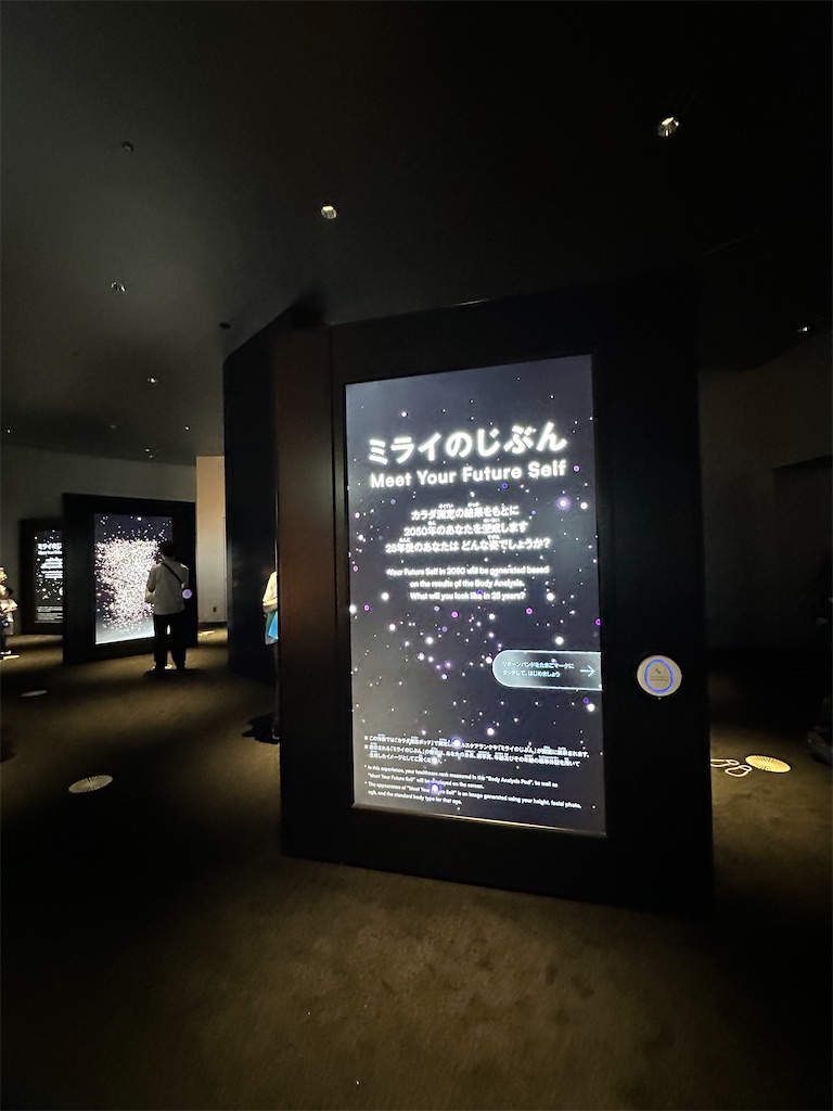 f:id:Yukonosuke:20250624013136j:image