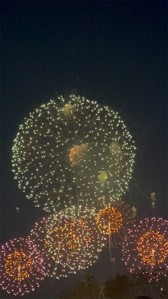 f:id:Yukonosuke:20250703010000j:image