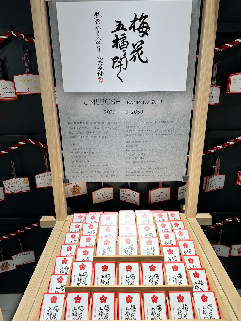 f:id:Yukonosuke:20250916112806j:image