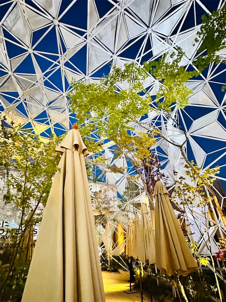 大阪・関西万博】カルティエ共同出展！「ウーマンズパビリオン」予約は