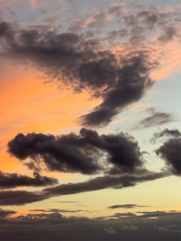 f:id:Yukonosuke:20251022171234j:image