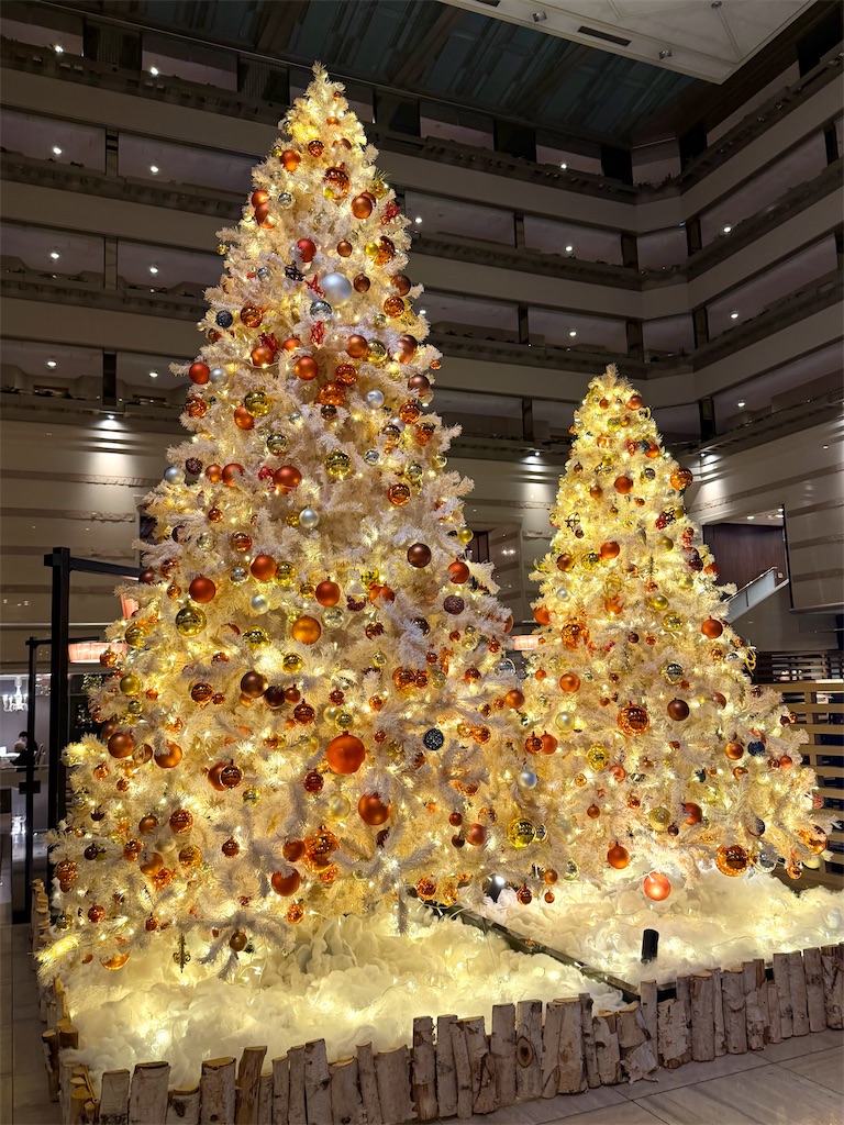 f:id:Yukonosuke:20260119154918j:image