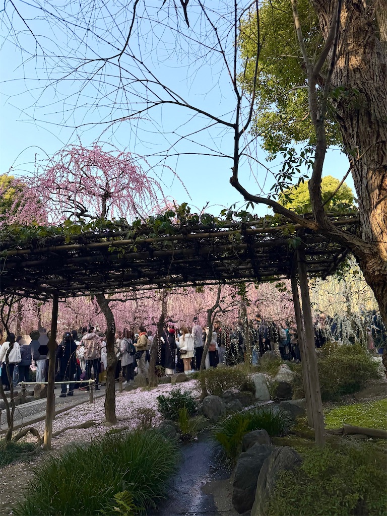 f:id:Yukonosuke:20260302152750j:image