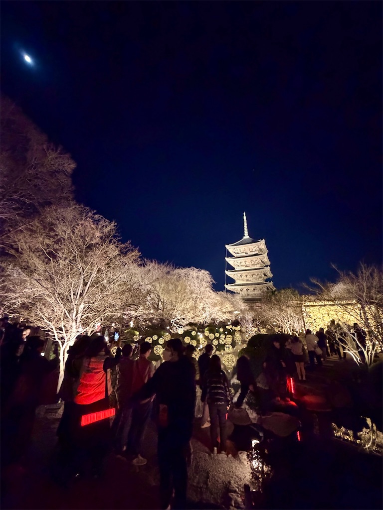 f:id:Yukonosuke:20260309144555j:image