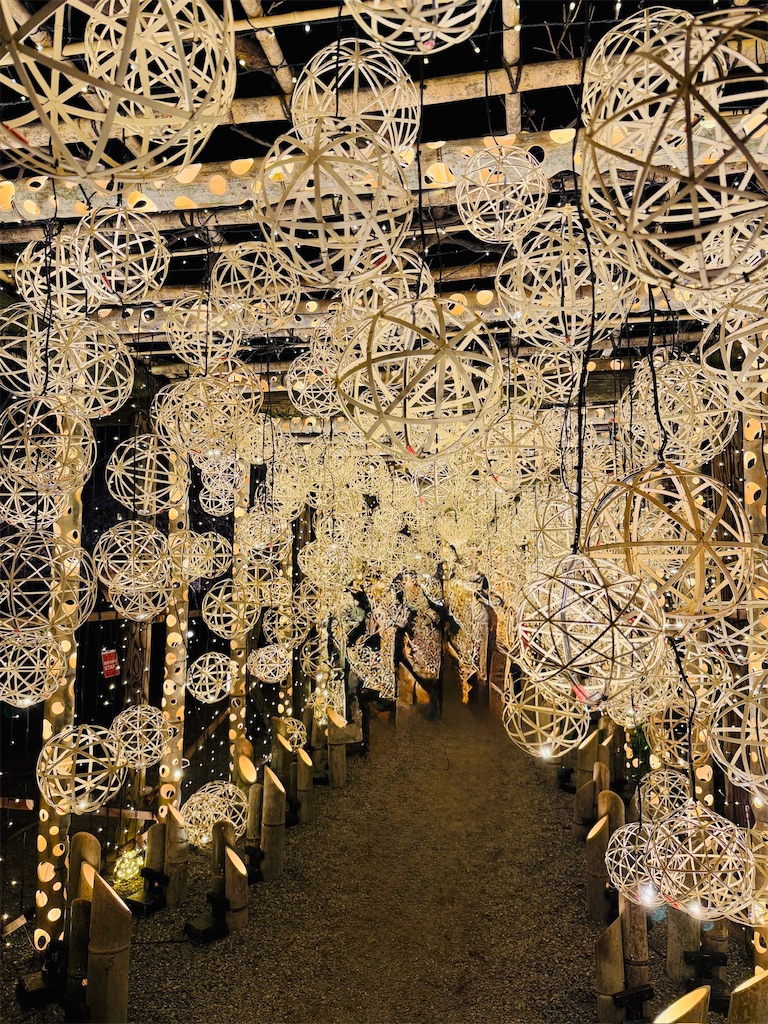 f:id:Yukonosuke:20260310095427j:image