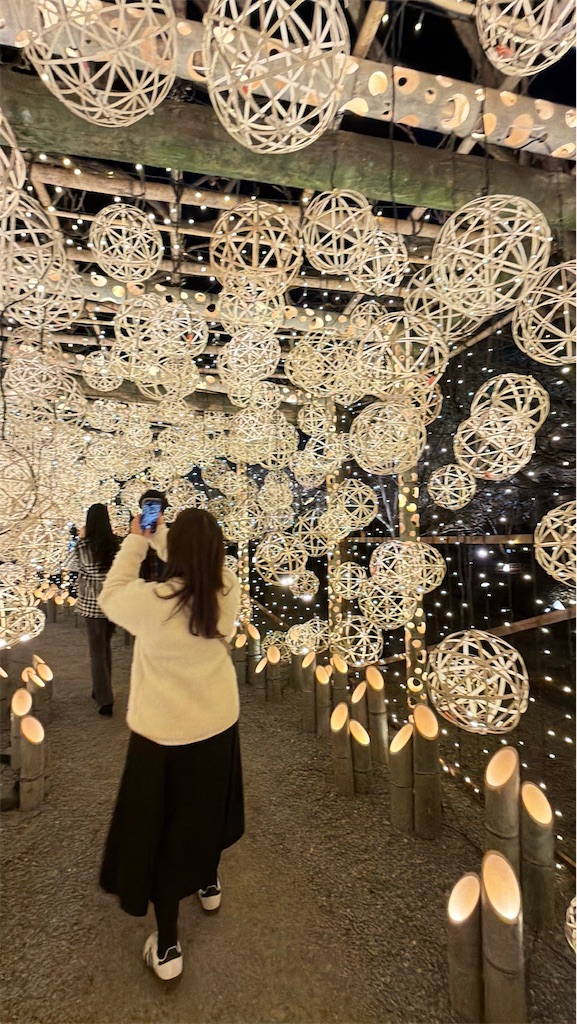 f:id:Yukonosuke:20260310095440j:image