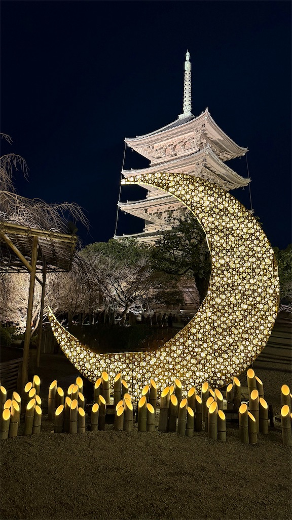 f:id:Yukonosuke:20260310101326j:image