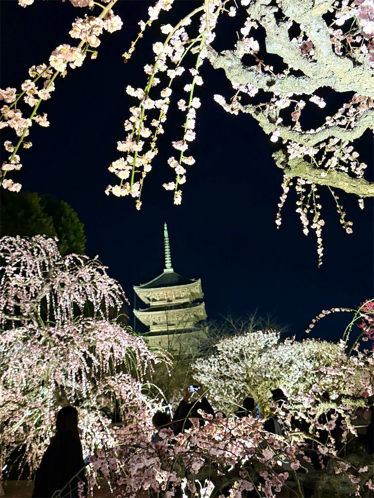 f:id:Yukonosuke:20260310101724j:image
