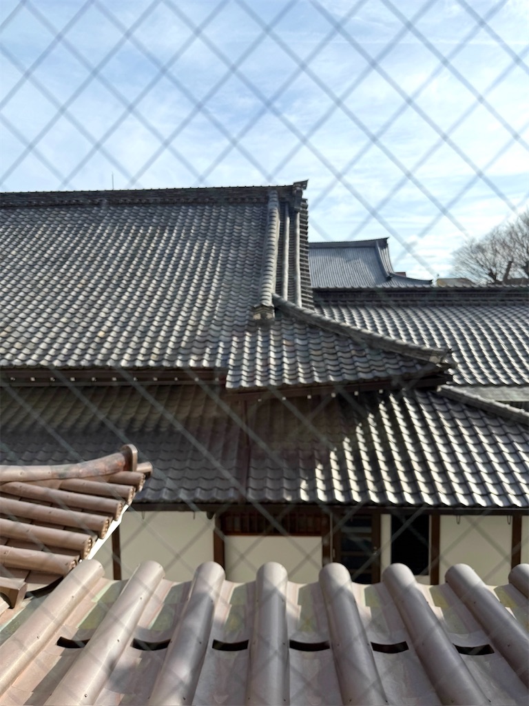 f:id:Yukonosuke:20260330173517j:image