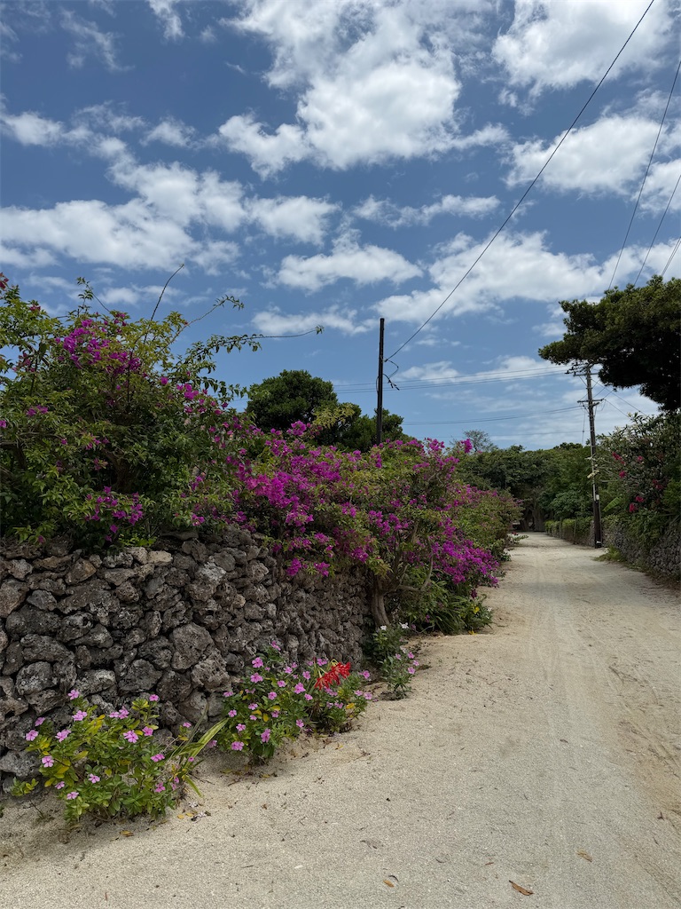 f:id:Yukonosuke:20260512184126j:image
