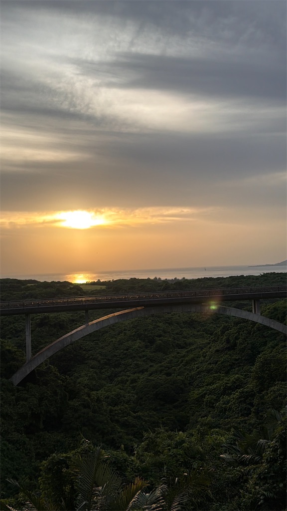 f:id:Yukonosuke:20260519134549j:image
