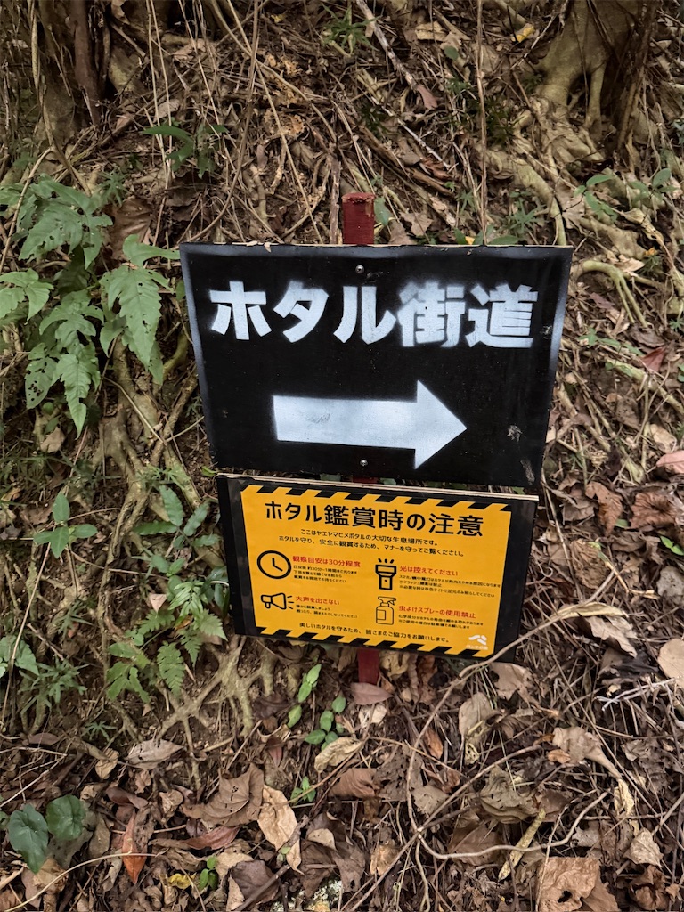 f:id:Yukonosuke:20260519134838j:image