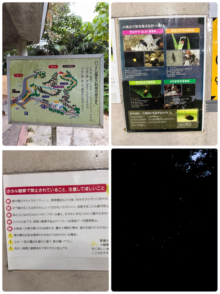 f:id:Yukonosuke:20260519140039j:image