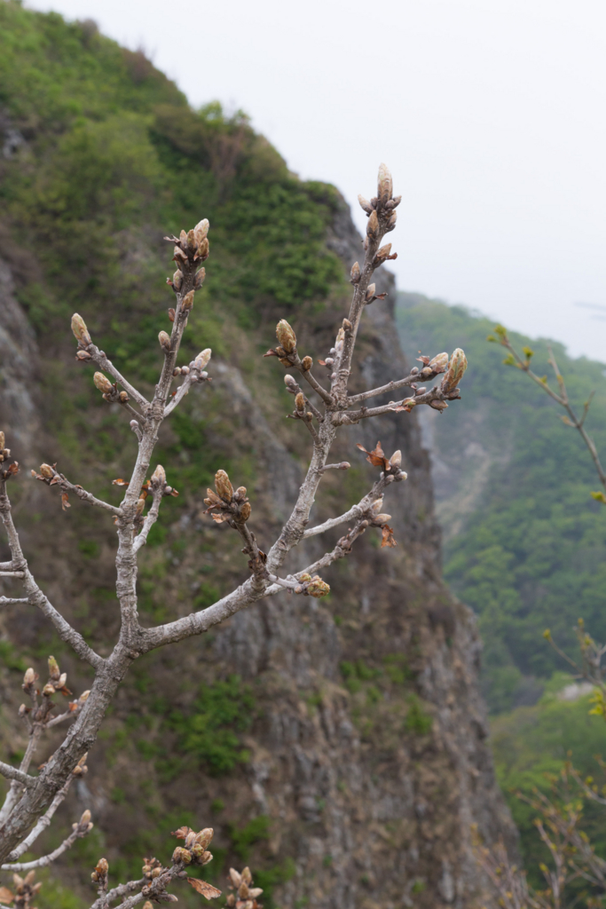 f:id:Yume-jun:20140518230919j:image:w640 f:id:Yume-jun:20140518230919j:image:w640
