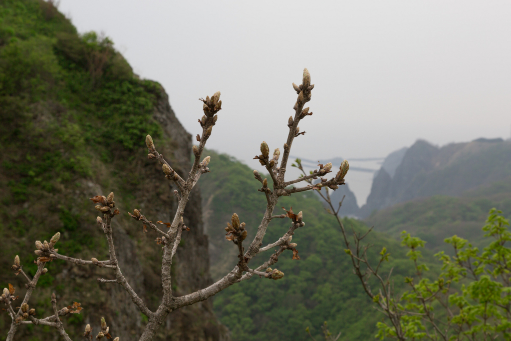 f:id:Yume-jun:20140518230920j:image:w640 f:id:Yume-jun:20140518230920j:image:w640