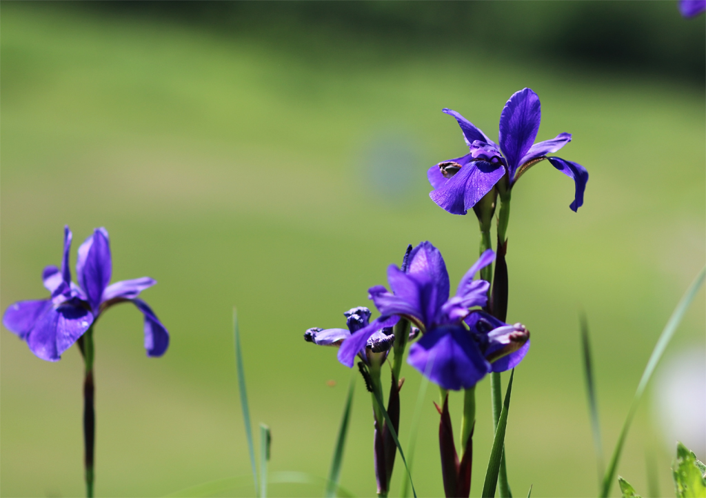f:id:Yume-jun:20140621223143j:image:w640 f:id:Yume-jun:20140621223143j:image:w640