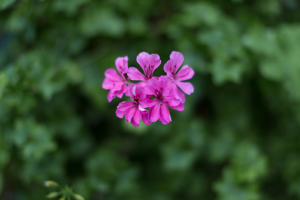 f:id:Yume-jun:20140815012141j:image:w640 f:id:Yume-jun:20140815012141j:image:w640