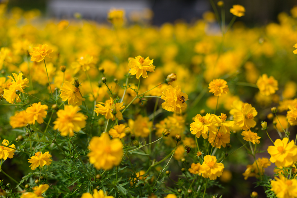 f:id:Yume-jun:20140928105113j:image:w640 f:id:Yume-jun:20140928105113j:image:w640