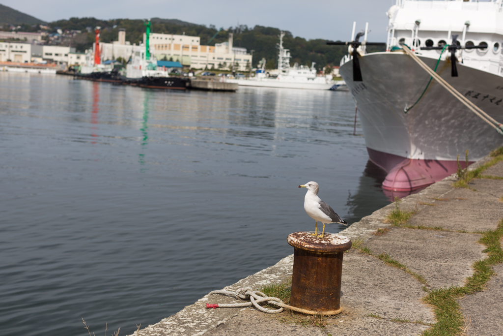 f:id:Yume-jun:20141007073817j:image:w640 f:id:Yume-jun:20141007073817j:image:w640