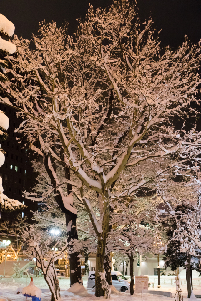 f:id:Yume-jun:20141216001752j:image:w640 f:id:Yume-jun:20141216001752j:image:w640
