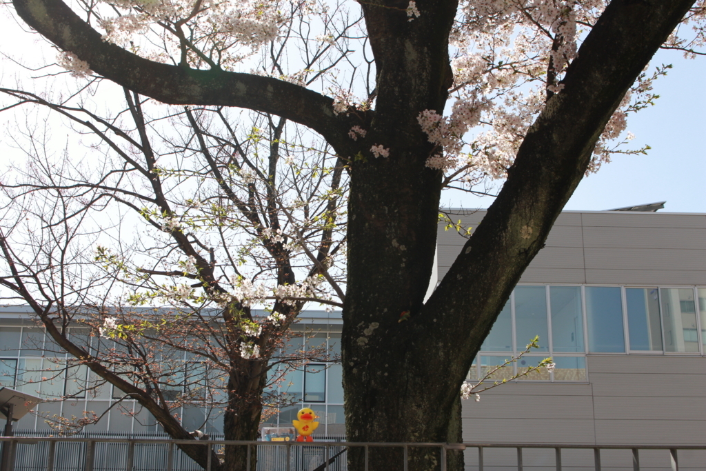 f:id:YumeCordCore:20180330221033j:plain